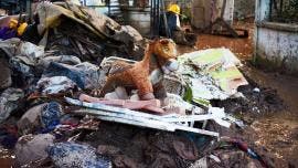 sube cifra 70 muertos lluvias Mexico.jpg