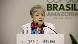 Alicia Barcena Ibarra