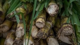 aumenta Mexico aranceles azucar.jpg