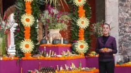 Claudia Sheinbaum Pardo