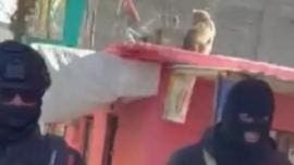 detienen El Sambo San Felipe Jesus.jpg