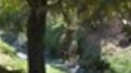 detienen robo sujeto San Juan Ixtayopan.jpg