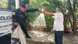 rescatan vibora Alvaro Obregon.jpg