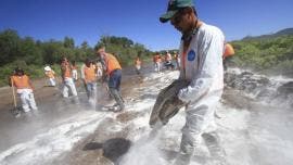  Río Sonora limpieza 