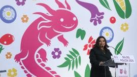 Brugada 480 mdp Puente Concordia.jpg