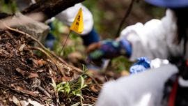 hallan 20 restos oseos Topilejo Tlalpan.jpg