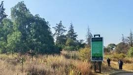 La FGJ investiga la muerte de un hombre no identificado hallado en el Cerro de la Estrella.