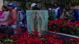 Peregrinos Basílica de Guadalupe