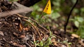 restos oseos Topilejo serian dos personas.jpg