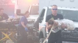 se estrella avion Marina Texas nino quemado.jpg