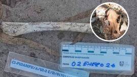 La Fiscalía capitalina informó que, de un conteo preliminar, al menos 798 animales presentaban afectaciones compatibles con maltrato, mientras que 21 animales murieron fuera del inmueble