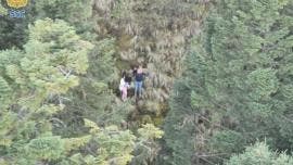 El operativo se activó tras un reporte de monitoreo de emergencias, luego de que se informara que una pareja que recorría un sendero del Circuito del Ajusco no regresó al punto de partida