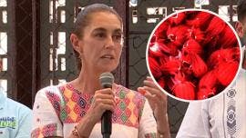 Claudia Sheinbaum Pardo