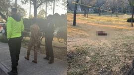 Según trascendió, el sujeto desolló a uno de los animales con el objetivo de despedazarlo e ingerirlo. Además, habría estado bajo el efecto de algún estupefaciente.