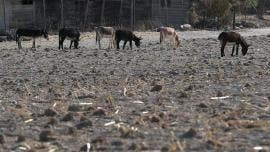 logra sequia Mexico su nivel mas bajo seis anos.jpg