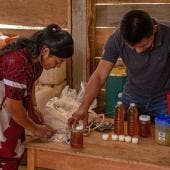 Mujeres indígenas en Chiapas subsisten y mitigan crisis climática con abejas (EFE)