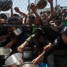 Gaza comida