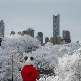 De acuerdo con la agencia, las nevadas comenzarán la tarde del viernes y se extenderán hasta el sábado, con afectaciones previstas en los viajes navideños, especialmente durante las horas de mayor intensidad del fenómeno.