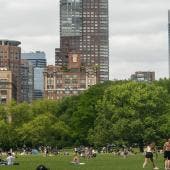 central park 