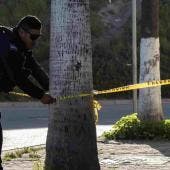 Hallan muertos a 2 policías turísticos en San Antonio de Cal, Oaxaca 