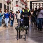 perro robot Malaga