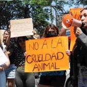Activistas protestan afuera del Senado por sacrificio de gallina en el recinto