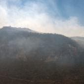 Reportan 73 incendios forestales activos en el país, por sequía   
