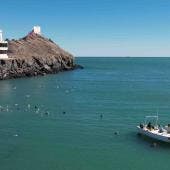 Golfo California vaquita marina Semarnat