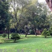Parque Ecologico Loreto Pena Pobre