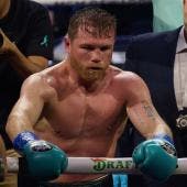 box Canelo Alvarez Benavidez