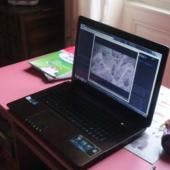 Investigan a finlandés sospechoso de abuso sexual ‘online’ en contra de menores: más de 200 víctimas