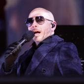 Pitbull 