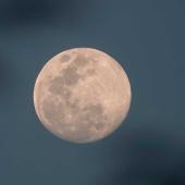 Luna