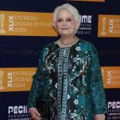 Apoyos al cine