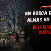 Vista de la Alameda Central en Ciudad de México bajo un cielo gris, con árboles, fuentes y caminos vacíos que evocan historias de fantasmas y leyendas urbanas.