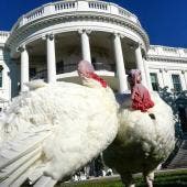 Pavos en la Casa Blanca