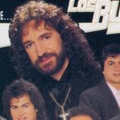 bukis