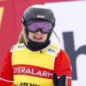 Snowboard