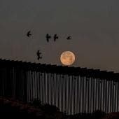 Luna Lobo en Tijuana