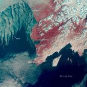 El hielo marino en el Ártico y la Antártida alcanzará mínimos históricos este año
