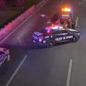 Mujer y su perrito mueren atropellados en carriles centrales de Paseo Tollocan
