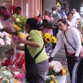 Dia Madres Sedeco 4.5 mil mdp