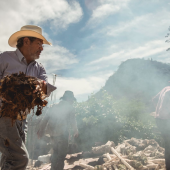 mezcal, experiencia mexcal, cocido del mezcal
