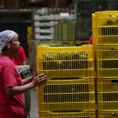 STPS confirma jornada laboral 40 horas gradual