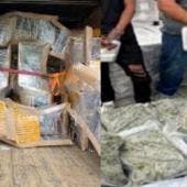 Aseguran más de una tonelada de marihuana oculta en muebles, en Tabasco; hay dos detenidos