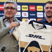 Pumas