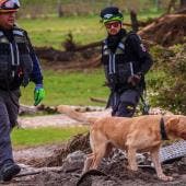Fotos| Inician labores de búsqueda en Texas rescatistas y binomios caninos de NL