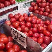 rechaza Sader Economia arancel 17 por ciento jitomate
