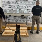 Agente canino