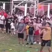 Calkini pinatas animales vivos